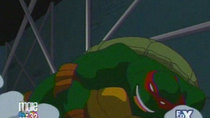 Teenage Mutant Ninja Turtles - Episode 7 - The Way of Invisibility