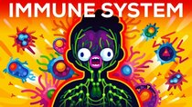 Kurzgesagt – In a Nutshell - Episode 10 - How The Immune System ACTUALLY Works – IMMUNE