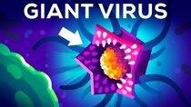 Kurzgesagt – In a Nutshell - Episode 11 - This Virus Shouldn't Exist (But it Does)