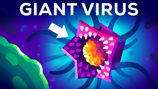 Kurzgesagt – In a Nutshell - S2021E11 - This Virus Shouldn't Exist (But it Does)