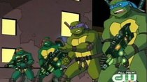 Teenage Mutant Ninja Turtles - Episode 8 - Web Wranglers