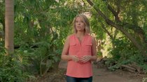 Earth Odyssey with Dylan Dreyer - Episode 2 - Arabia