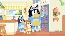 Bluey - Episode 1 - Perfect