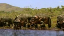 Walking with Dinosaurs - Episode 1 - New Blood