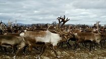DW Documentaries - Episode 64 - Hunting in the Arctic Circle