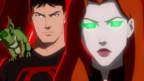 Young Justice - Episode 1 - Inhospitable