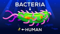 Kurzgesagt – In a Nutshell - Episode 17 - How Large Can a Bacteria get? Life & Size 3