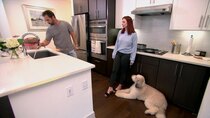 Married at First Sight - Episode 12 - Is There Someone Else?