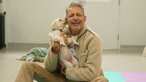 The World According to Jeff Goldblum - Episode 1 - Dogs