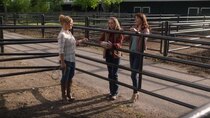 Heartland (CA) - Episode 2 - Runaway