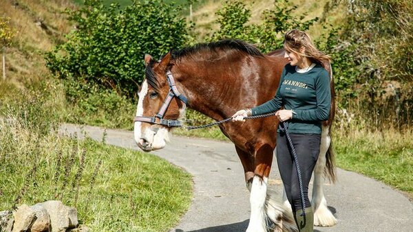 Our Yorkshire Farm - S05E04 - 