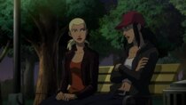 Young Justice - Episode 6 - Artemis Through the Looking-Glass