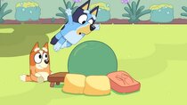 Bluey - Episode 3 - Obstacle Course