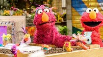 Sesame Street - Episode 2 - Picture This