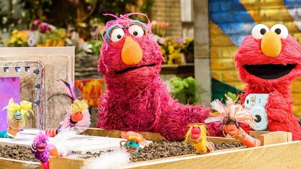 Sesame Street - S49E02 - Picture This