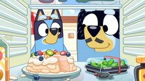 Bluey - Episode 17 - Pavlova