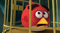 Angry Birds Slingshot Stories - Episode 23 - It's a Trap!