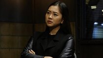 The Blacklist - Episode 6 - Dr. Roberta Sand, Ph.D.