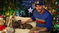 CBeebies Bedtime Stories - Episode 33 - Tom Hardy - The Christmas Pine