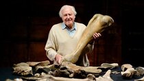 BBC Documentaries - Episode 144 - Attenborough and the Mammoth Graveyard