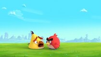 Angry Birds Slingshot Stories - Episode 25 - Home Sweet Home Screen?