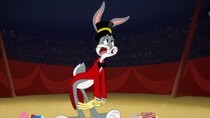 Looney Tunes Cartoons - Episode 1 - Ring Master Disaster