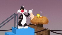 Looney Tunes Cartoons - Episode 8 - Telephone Pole Gag: Airplane Stairs