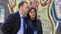 Blue Bloods - Episode 7 - USA Today