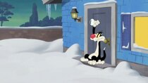 Looney Tunes Cartoons - Episode 2 - Put the Cat Out: Eyeball
