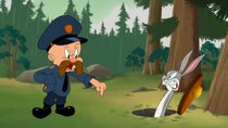 Looney Tunes Cartoons - Episode 7 - Blunder Arrest