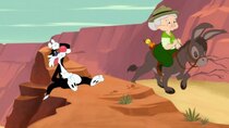Looney Tunes Cartoons - Episode 20 - Grand Canyon Canary