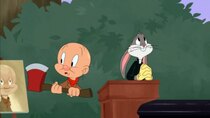 Looney Tunes Cartoons - Episode 22 - Funeral for A Fudd