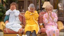 The Golden Girls - Episode 21 - Flu Attack (a.k.a. The Flu)