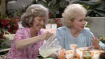 The Golden Girls - Episode 23 - Blind Ambitions