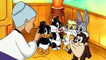 Watch Baby Looney Tunes Who's Your Granny?; The Tattletale S1 E31