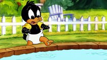 Baby Looney Tunes - Episode 4 - Like a Duck to Water