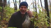 Les Stroud's Wild Harvest - Episode 6 - Grouse & Labrador Tea