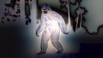 Paranormal Caught on Camera - Episode 22 - Cajun Skunk Ape and More
