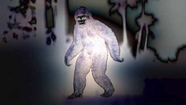 Paranormal Caught on Camera - S03E22 - Cajun Skunk Ape and More