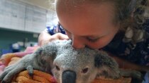 Izzy's Koala World - Episode 4 - Muffin Moves In
