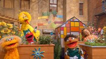 Sesame Street - Episode 15 - Let's Grow Together