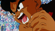 Dragon Ball Z - Episode 291 - Goku's Next Journey