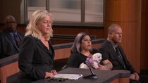 Judy Justice - Episode 95 - Pet Adoption Fail / Texas Natural Disaster Repair