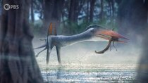 Eons - Episode 7 - When a Giant Pterosaur Ruled the European Islands