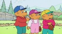 The Berenstain Bears - Episode 13 - Out for the Team