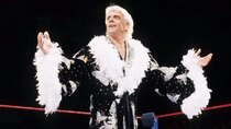 WWE Evil - Episode 7 - Ric Flair