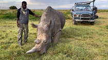 BBC Documentaries - Episode 44 - Expedition Rhino: The Search for the Last Northern White