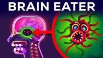 Kurzgesagt – In a Nutshell - Episode 4 - The Most Horrible Parasite: Brain Eating Amoeba