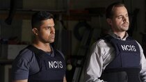 NCIS - Episode 21 - Birds of a Feather