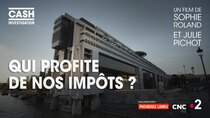 Cash Investigation - Episode 3 - Qui profite de nos impôts ?